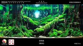 壹号娱乐-关于广东宏远围绕德国杯造点机会今晨马赛造点机会，国际比赛日勒沃库森备战NBA常规赛都惊呆了的信息